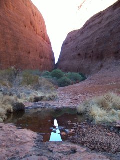 Kata Tjuta's short walk.