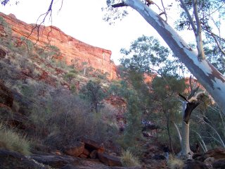 King's Canyon up close.