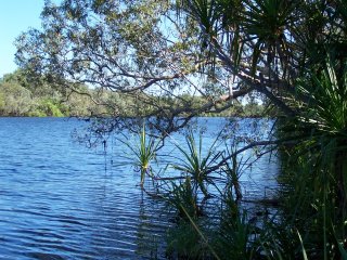 Yellow Water Billabong.