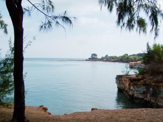 Darwin coast.